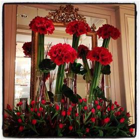fwthumbchristmas flower arrangements hotel 1.jpg
